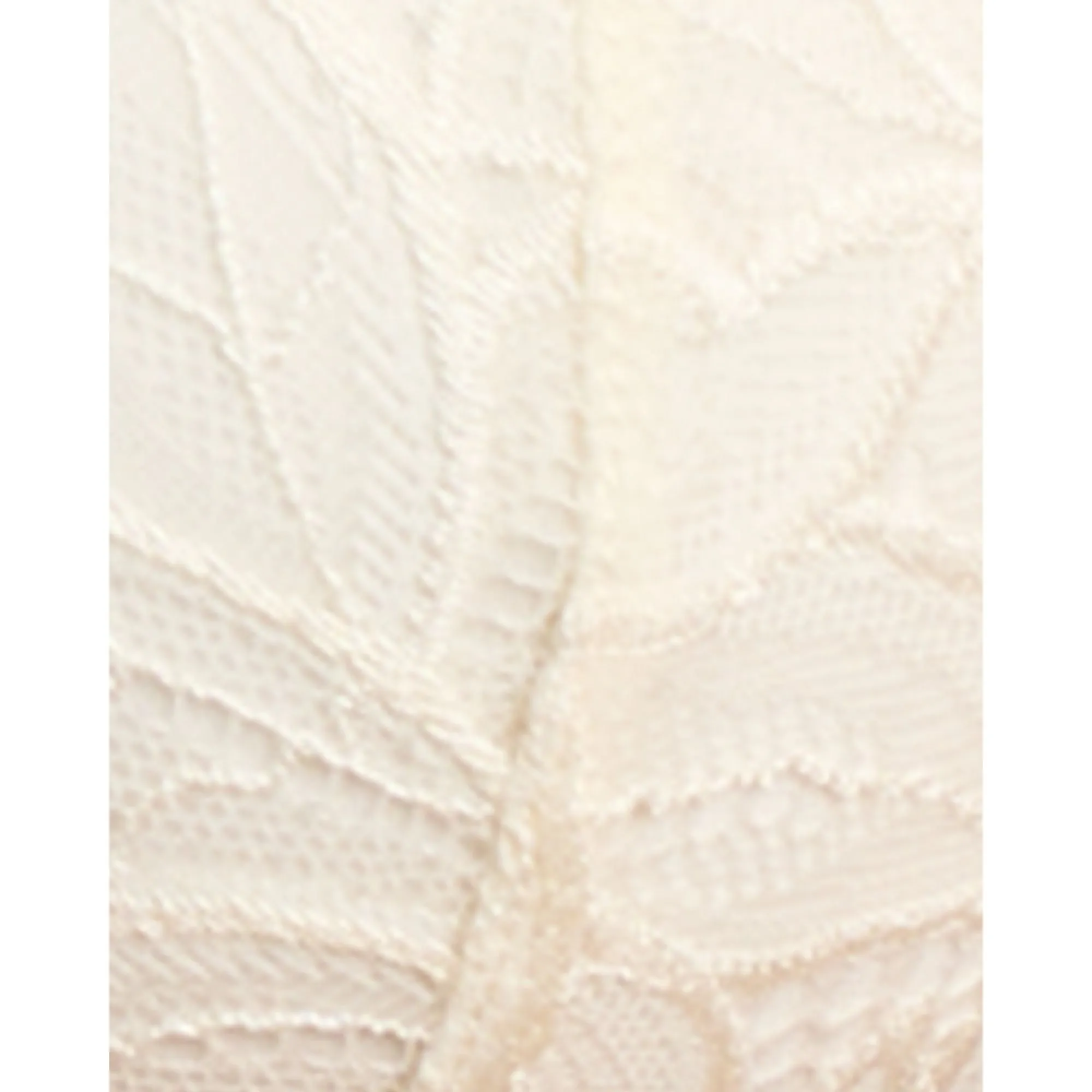 Divine Padded Wired Lace Bra